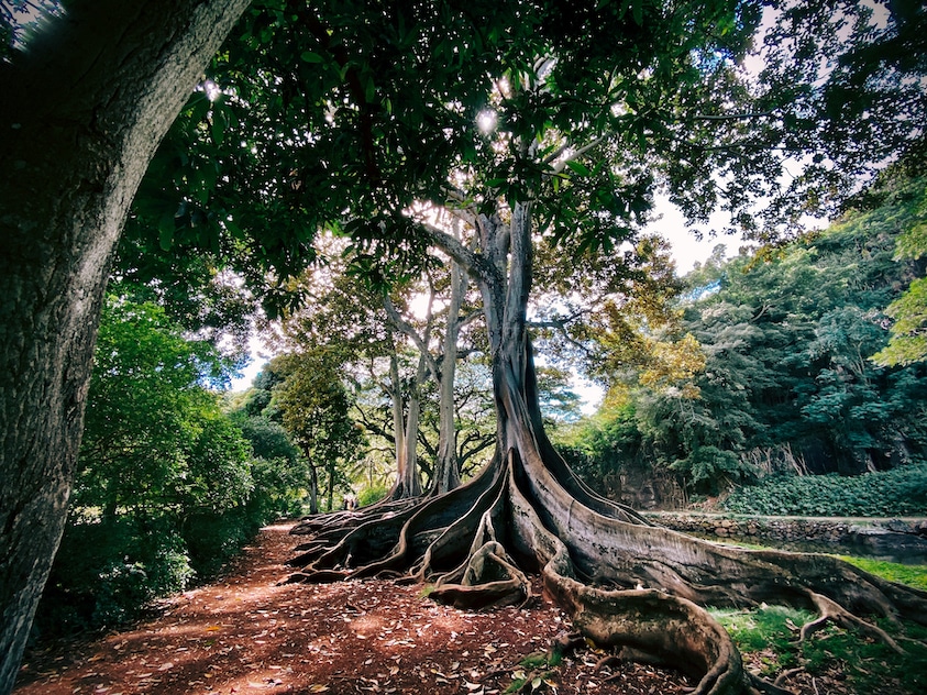 Kauai, HI