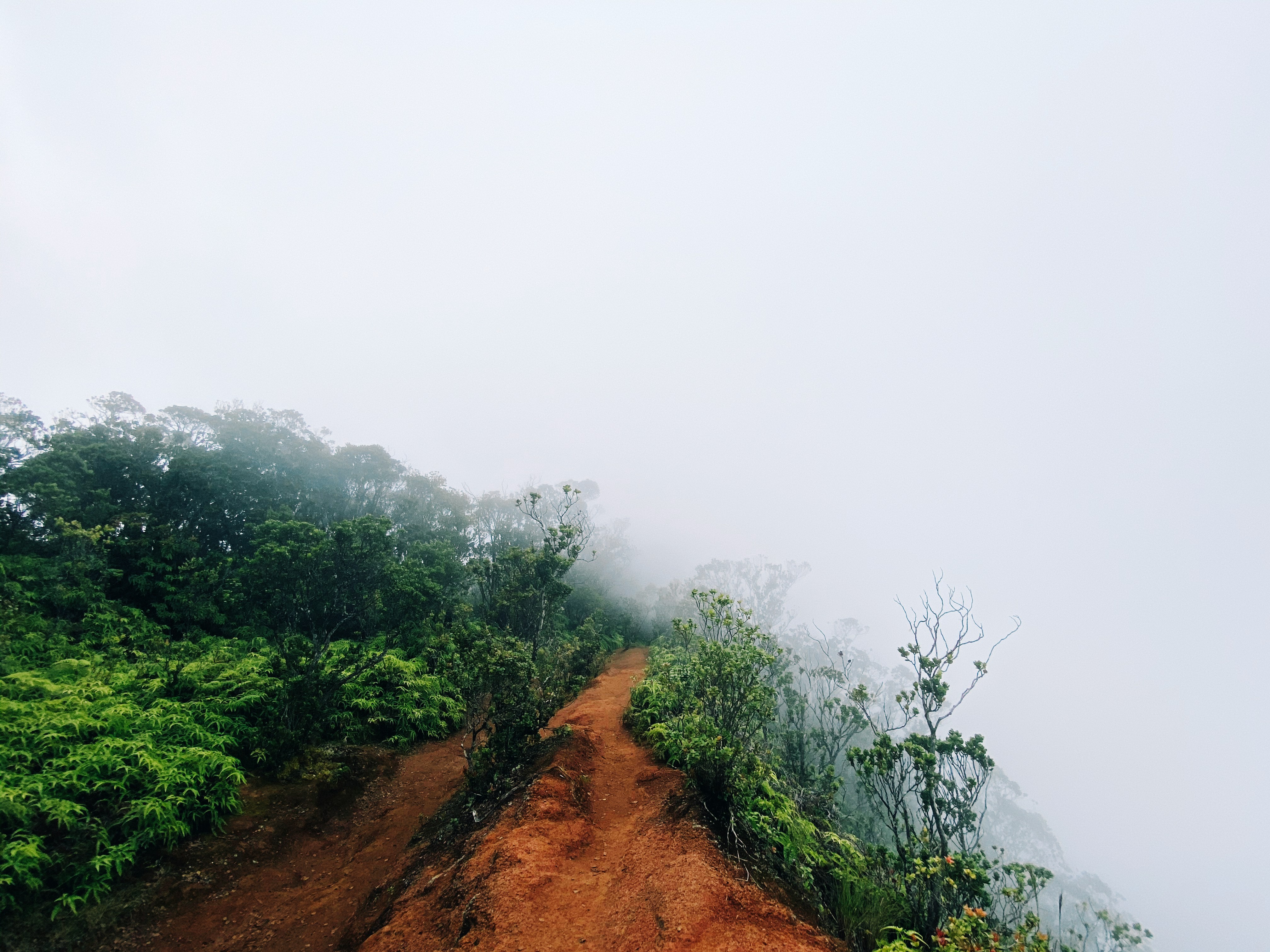 Kauai, HI